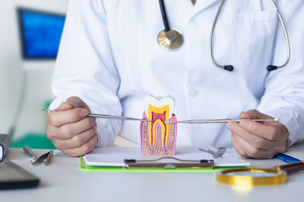 Best Emergency Cosmetic Dentistry in Hornsby Bend, TX